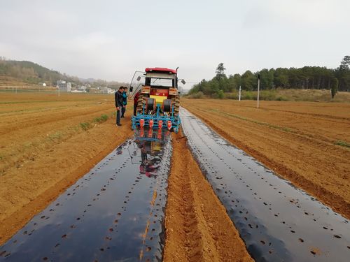 智慧农业:探路种植机械化 | 贵州智能技术服务实体经济系列报道之四