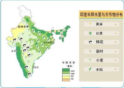 印度地处热带地区,为什么会大面积种植温带粮食作物“小麦”?