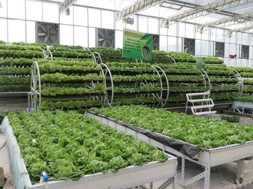 农业物联网 智能农业的五种技术用途和挑战