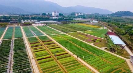 全国农牧渔业丰收奖出炉,佛山一人获农业技术推广贡献奖