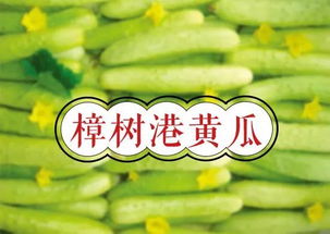 常德两农产品新晋地标产品 快来为家乡打call