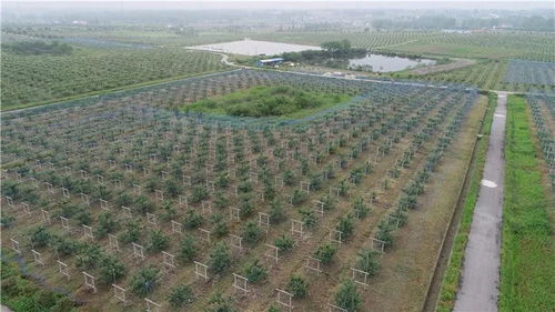 想吃得健康 来看看最新出炉的扬州有机农产品分布图