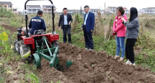 护农 撂荒地八大类特色作物典型种植模式