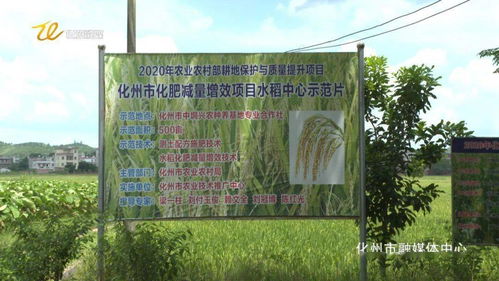 市融媒体助力 中垌这个专业农民合作社要火了