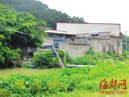 莆田江口园顶村一食品厂排放污水 周边农田无法耕作