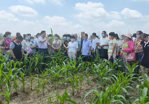 濉溪县2022年高素质农民培育粮食作物栽培三班顺利开班