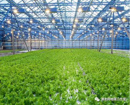 上帝视角看我们的田,附15种特色农业简介
