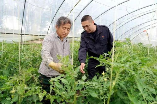 夏管关键期,北大荒劳模工匠显身手