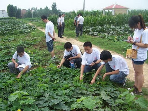 邓州市穰原农作物种植专业合作社