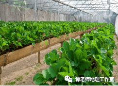 新奇立体农业模式简介,原来这就是无土栽培,涨知识