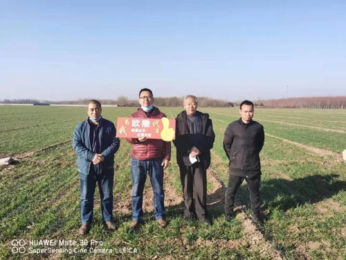 历经考察期 多种作物试验示范 经销商挑选产品有哪些标准